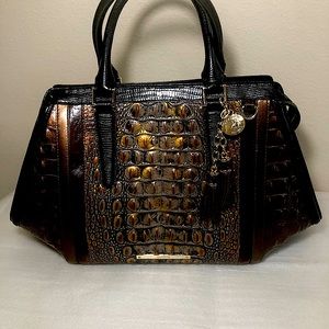 RARE BRAHMIN ARDEN Tortoise Combo NWT